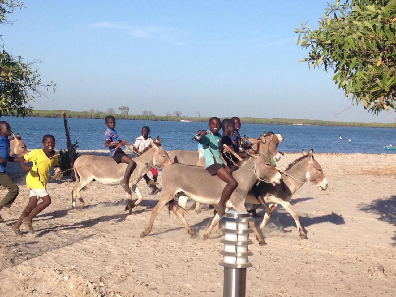 Terra Lodge Senegal 姆布尔 外观 照片