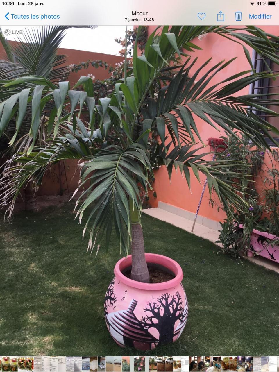 Terra Lodge Senegal 姆布尔 外观 照片