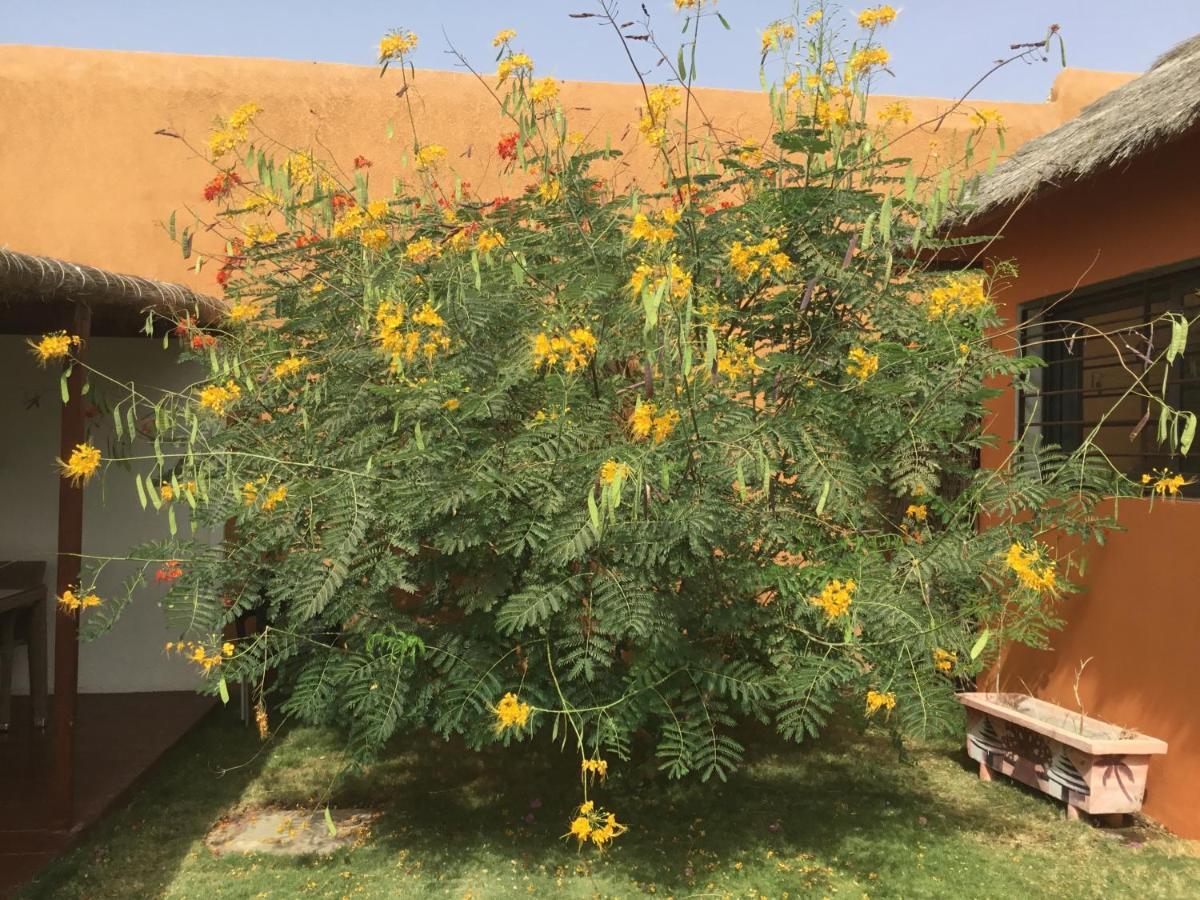 Terra Lodge Senegal 姆布尔 外观 照片